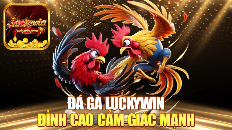 Đá gà Luckywin – Đỉnh cao cảm giác mạnh, gà đá mà tim cũng đập theo!